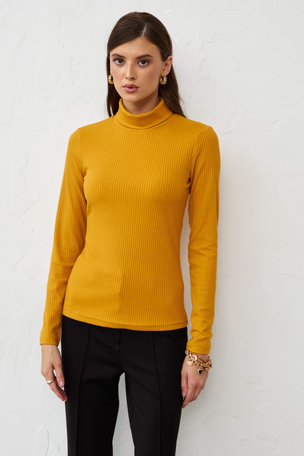 С53229-29 Джемпер (НСК)