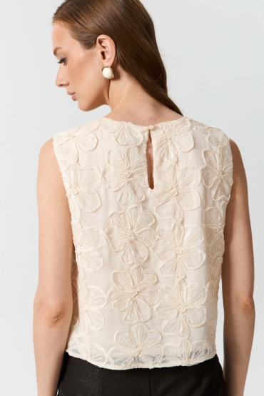 С2733 Топ (НСК)