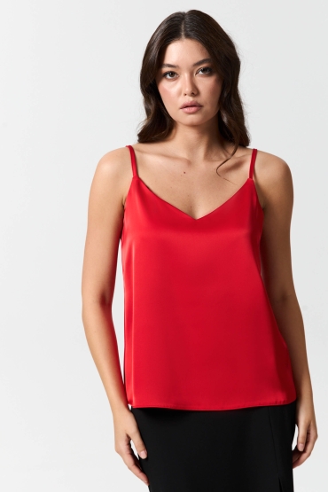 С2463-13 Топ (НСК)